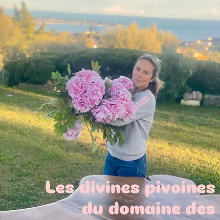 Domaine Des Encourdoules *